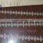Polycarbonate Bird Control Spikes