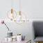 Contemporary Decorated Nordic LED Indoor Hanging Light Modern Hanging Lamp
