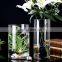 latest fashion minimalist 60cm high tall cylinder clear glass vases