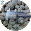 2020 New Crop Wholesale Top Grade Thickness 4 - 6 mm IQF Frozen Champignon Mushroom Slices