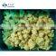 Sinocharm BRC A Approved 4-6CM IQF Cauliflower Floret cut Frozen Cauliflower