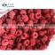 BRC Approved Factory of Frozen Whole Raspberry IQF