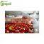 complete tomato paste Concentration paste processing equipment/machine