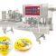 complete jelly manufacturing equipment