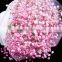 Color hot sell most popular flower of gypsophila