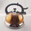 3.0L Colorful Paint Kettle with Lightweight Stainless Steel Frame and Nylon Handle