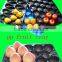 China Supply/FDA Certificate Fruit Liner Tray