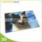 Manufacturer 3D lenticular photo printing for promotion