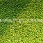 Landscape artificial grass SS-046001-ZJQ