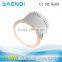 COB LED Down light 30W flexibility private mould 30W