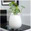 2016 hot sale contemporary ceramic white ball chaozhou decor vase with flowers
