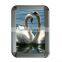 2015 new style funia photo frame