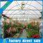 Multi-span easy assemble winter sunlight agricultural greenhouse for sale