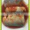 Jurel en lata en salsa de tomate HACCP IFS,BRC ISO