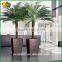 outdoor and indoor decorative artificial coconut palm tree