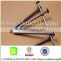 Electro galvanized common nail big supplier in China
