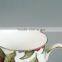 Lead Free gold rim custom wholesale custom zakka mug for drinking