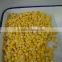 Top quality whole kernel sweet corn