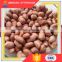 Factory Low Price Guaranteed Roasted Peanuts Price
