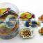 12g Fish Shape Chocolate Biscuit Cup / Fish Cup Chocolate With Biscuits