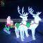 Outdoor Motif Acrylic Reindeer Sleigh Light