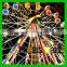 Beautiful Attractive LED Lights Decorated Theme Park Rides Ferris Wheel