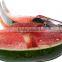 Large Hand Held Watermelon Slicer Server Knife Cutter Corer Scoop Stainless Steel Tool