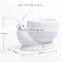 led snail plant desk lamp for absorb harmful air and computer radiation