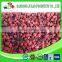 wholesale frozen fresh mixed berries healthy food
