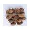 High Quality Bulk Herb Medicine Tsaoko Amomum Fruit(Caoguo)