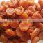 dried apricots