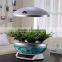 smart home system as table lights fish tank Planting flowers vegetables