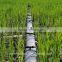 High Pressurre Irrigation Agriculture Competitive Advantage Water Transport PE Pipe