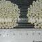 Cheap artificial biopellets for nitrate and phosphate reduction