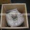 1000W / 1KW wind turbine alternator
