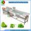 New developed vortex air bubble ozone fruit and vegetable washing machine, advanced vegetable washer for production line