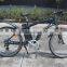 7 Speed CE Electric Bicycle with Lithium battery