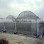 Hot sale film greenhouse for vegetables