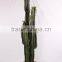 SJ3001107Ornamental Artificial Green Cactus Plants