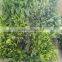 Export factory price fake indoor plant wall