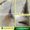 High and cheap Korean bamboo broom wholesales