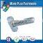 Made In Taiwan Metric Stainless Steel Zinc Plated T Bolt