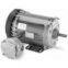 Marathon Close-coupled pumps Motors