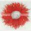 2016 Valentine's Day Customized Red Parade Rose Tulle Dog Collar