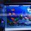 MOQ 500 pieces Wholesale Automatic Filter betta fish tropical fish live LED table fish farming tank aquarium