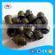Auto sedan intake exhaust titanium retainers engine valve for Suzuki Ciaz spare parts accessories