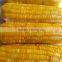 Best Price Fresh Yellow Sweet Corn From Vietnam