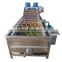 Commercial Coconut Vegetable Washing and Drying Line Carrot Orange Fruit Washing Machine