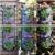 Private Label Top Quality Eco Friendly Vertical Garden Custom Bio Plant Growing Bag