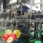 Full automatic complete apple concentrate production line fruit puree